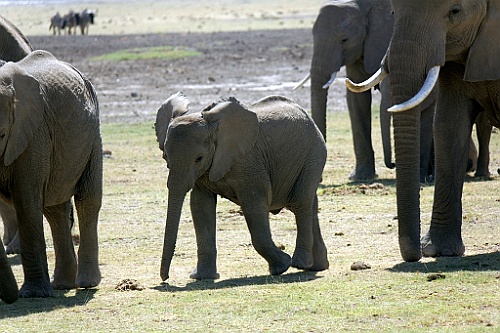 Kenia (141)